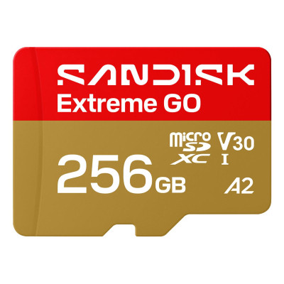 Карта памяти SanDisk 256GB microSDXC class 10 UHS-I Extreme GO (SDSQXGN-256G-GN6MN)