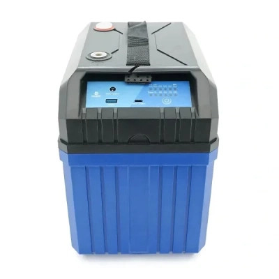 Батарея LiFePo4 Eco-Worthy 12,8V 100Ah, (50/100A) Bluetooth (DC HOUSE-12100B)