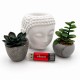 USB флеш накопитель Wibrand 128GB Ladybug Red USB 3.2 (WI3.2/LB128P10S) USB флеш накопитель Wibrand 128GB Ladybug Red USB 3.2 (WI3.2/LB128P10S)