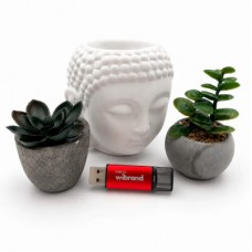USB-флеш накопичувач Wibrand 32 GB Ladybug Red USB 3.2 (WI3.2/LB32P10S) - Фото