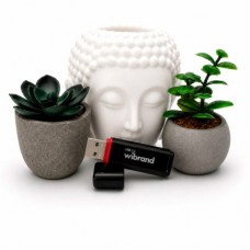 USB-флеш накопичувач Wibrand 128 GB Scarab Black USB 3.2 (WI3.2/SC128P11B) - Фото