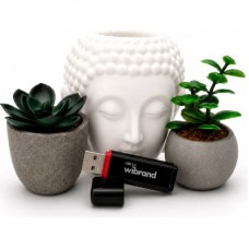 USB флеш накопитель Wibrand 64GB Scarab Black USB 3.2 (WI3.2/SC64P11B) - Фото